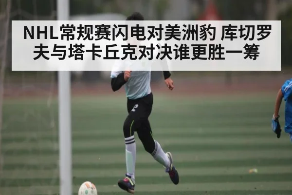 NHL常规赛闪电对美洲豹 库切罗夫与塔卡丘克对决谁更胜一筹
